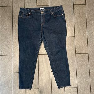 Loft plus modern skinny Jean